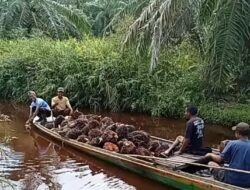 Diserang oleh puluhan orang bersenjata api ilegal di kebun sawit milik sendiri, ahli waris dan keluarga meminta keadilan kepada presiden RI