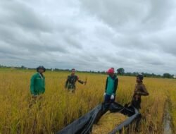 Babinsa Koramil 426-05 PA Motivasi Kelompok Petani Untuk Meningkatkan Ketahanan Pangan