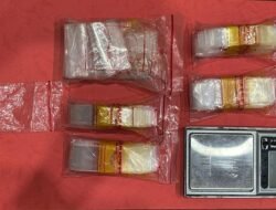 Gasak Narkoba di Dente Teladas, Polres Tulang Bawang Tangkap Seorang Bandar dan Sita 20 Gram Lebih Sabu