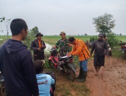Babinsa 426-03 Rawajitu Bersama PPL dan Petani Gropyokan Hama Tikus di Rawajitu Selatan