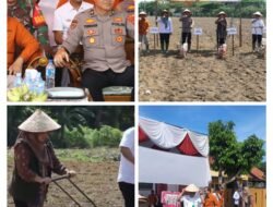 Polres Tulang Bawang Gelar Penanaman Serentak Jagung Kuartal IV dan Resmikan Gudang Ketahanan Pangan Polri