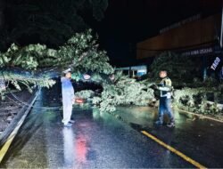 Kapolsek Banjar Agung Pimpin Evakuasi Pohon Tumbang Di Jalintim Km 151 — Lalu Lintas Kembali Normal Dalam Waktu Singkat!
